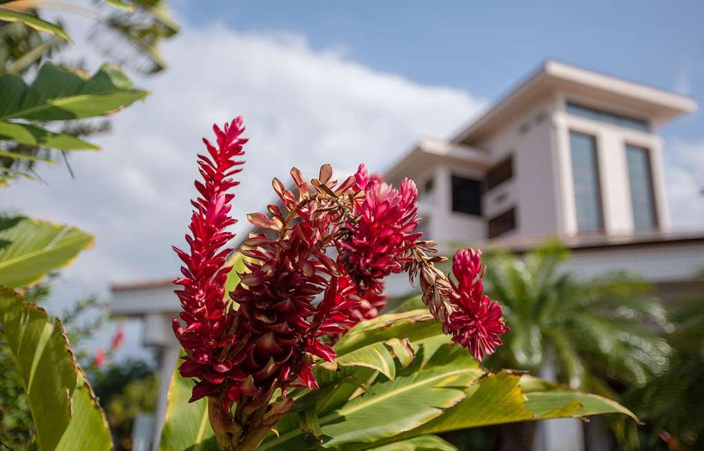 Maui Coast Hotel Kihei Felszereltség fotó